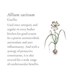 Immune Chicken Broth