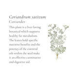 Immune Chicken Broth