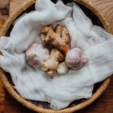 Immune Chicken Broth