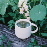 Immune Chicken Broth