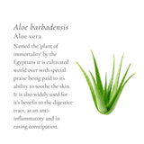 Green Geisha Elixir & Smoothie Broth Cubes