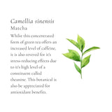 Green Geisha Elixir & Smoothie Broth Cubes