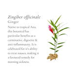 Beef & Chicken Broth