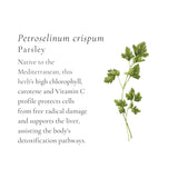 Classic Chicken Broth Cubes