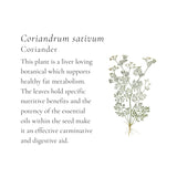 Beef & Chicken Broth Cubes