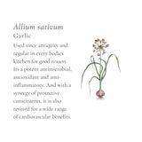 Classic Chicken Broth Cubes