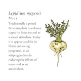 Green Geisha Elixir & Smoothie Broth Cubes