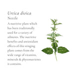 Classic Chicken Broth Cubes