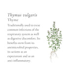 Classic Chicken Broth Cubes