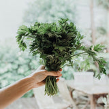 Classic Chicken Broth