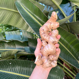 Simple Chicken Broth