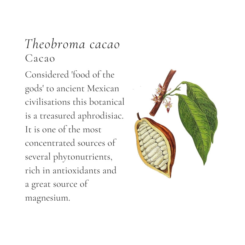 Ceremonial Cacao Elixir & Smoothie Broth Cubes