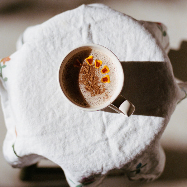 Calming Chai Elixir & Smoothie Broth Cubes