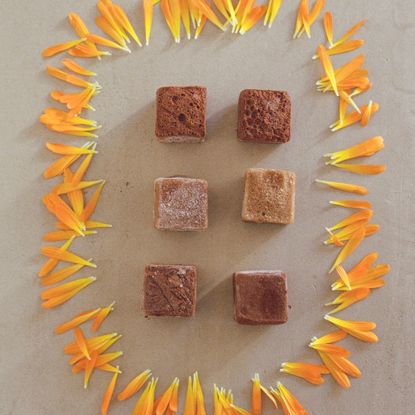 Calming Chai Elixir & Smoothie Broth Cubes