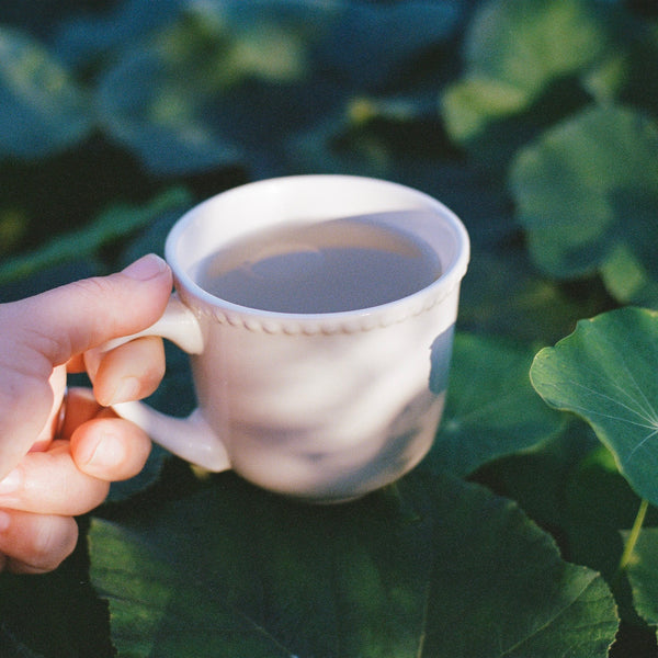 Botanical Broth